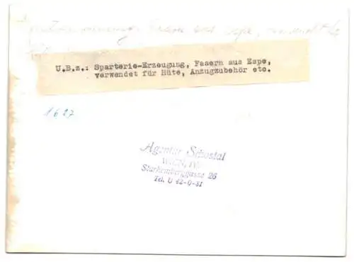 16 Fotografien Wilhelm Sturm, Ansicht Rumburg / Sudetengau, Heimweber produzieren Kunstblumen, Messerschmied Heimarbeit