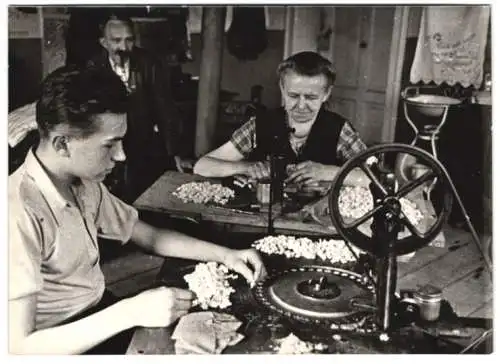 16 Fotografien Wilhelm Sturm, Ansicht Rumburg / Sudetengau, Heimweber produzieren Kunstblumen, Messerschmied Heimarbeit