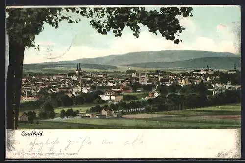 AK Saalfeld / Saale, Ortsansicht vom Wald aus