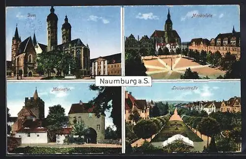 AK Naumburg / Saale, Dom, Marktplatz, Luisenstrasse mit Park