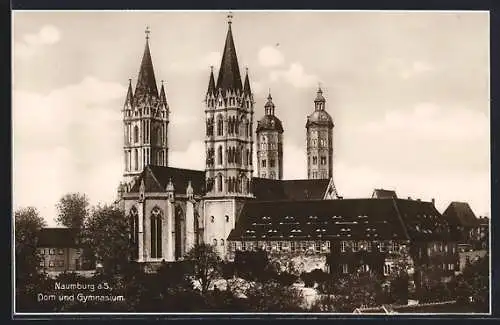 AK Naumburg / Saale, Dom und Gymnasium