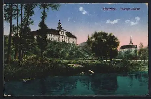 AK Saalfeld / Saale, Herzogliches Schloss und Kirche