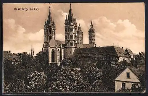 AK Naumburg / Saale, Der Dom