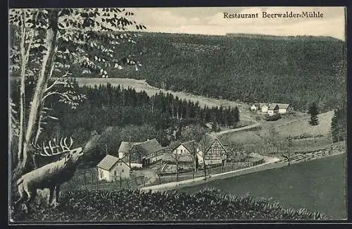 AK Klingenberg / Sachsen, Gasthaus Beerwalder-Mühle, Bes. Hugo Winkler