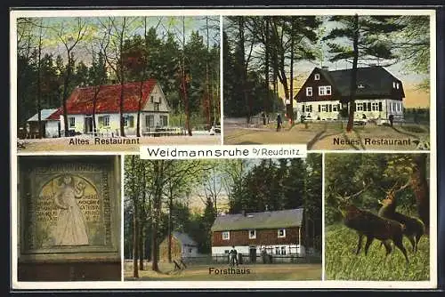 AK Reudnitz / Greiz, Altes und neues Restaurant Weidmannsruhe, Frosthaus