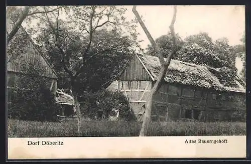 AK Döberitz / Dallgow, Altes Bauerngehöft im Dorf