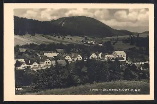 AK Waidmannsfeld /N. Ö., Ortsansicht vom Hügel aus