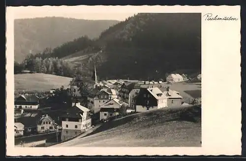 AK Puchenstuben, Teilansicht mit Kirche