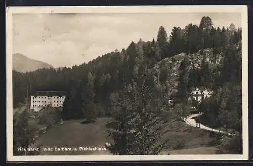 AK Neumarkt, Villa Barbara und Pichlschloss