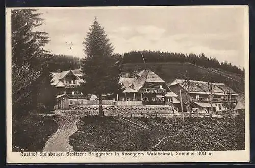 AK Alpl, Franz Bruggraber v. Steinbauers GAsthaus zur Rosegger`s Waldheimat