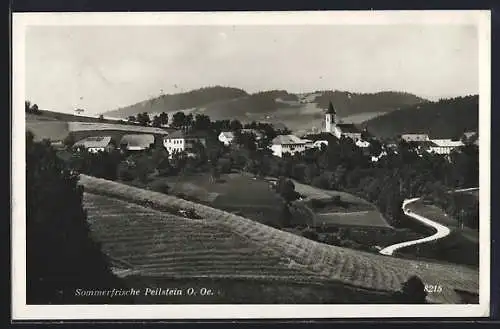 AK Peilstein /O. Oe., Ortsansicht vom Wald aus