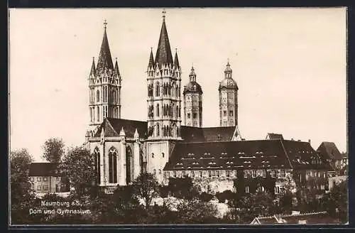 AK Naumburg / Saale, Dom u. Gymnasium