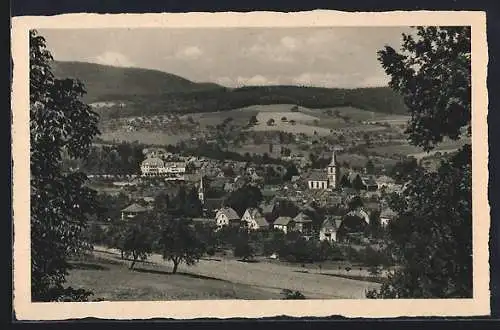 AK Reichelsheim / Odenwald, Totale vom Berg aus gesehen