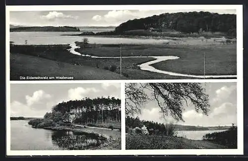 AK Felde /Achterwehr, Die Eiderschweiz am Westensee, Uferpartie, Ortspartie