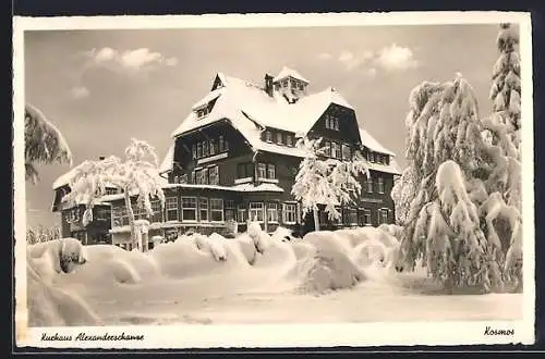 AK Kniebis, Kurhaus Alexanderschanze, Bes. August Kaiser, Ansicht im Winter