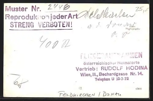 AK Feldkirchen /Donau, Fliegeraufnahme mit Wallfahrtskirche