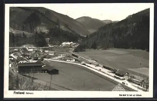 AK Türnitz /N.-Oe., Freiland /Ostmark, Teilansicht mit Bahnhof