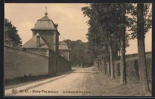 AK Baisy-Thy /Brabant, Le Château de Thy-Drève