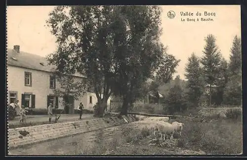 AK Bauche /Vallée du Bocq, Le Bocq