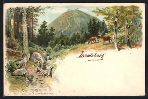 Lithographie Brotterode, Hirsche auf dem Inselsberg