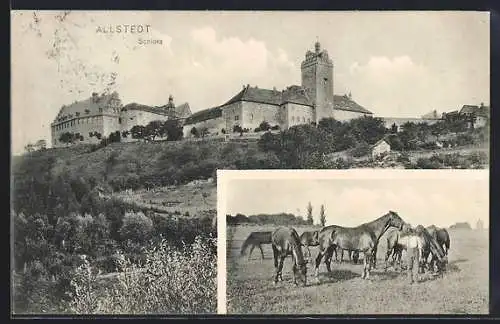 AK Allstedt, Blick auf das Schloss, Pferde auf der Weide