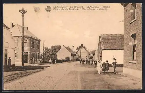 AK Blaesvelt, Heide Chaussée de Malines