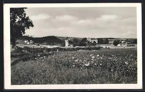 AK Habrovany, Panorama, Kostel