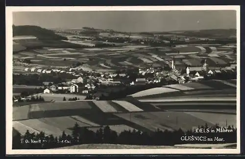 AK Oels in Mähren, Panorama mit Kirche