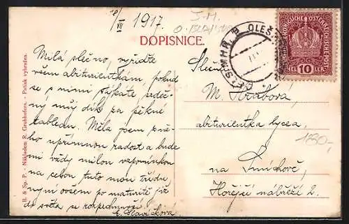 AK Mor. Olesnice, Panorama