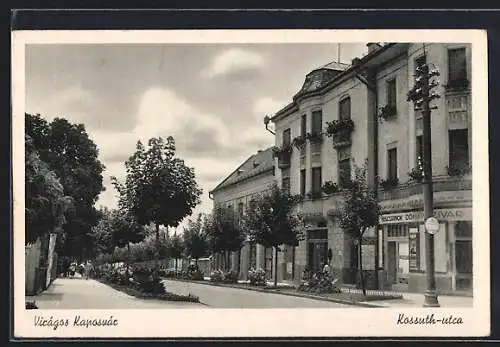 AK Kaposvar, Viragos, Kossuth-utca