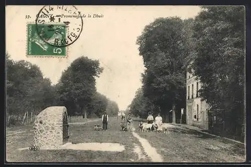 AK Gagny, Promenade de la Dhuis avec promeneurs et chiens