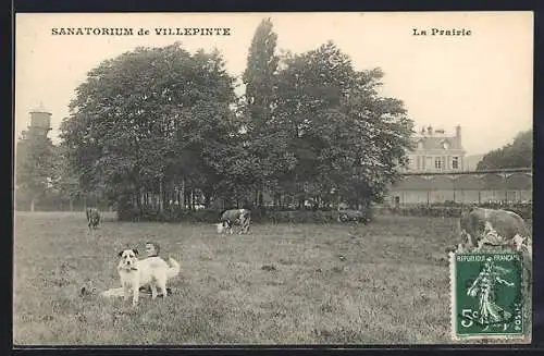 AK Villepinte, Sanatorium et prairie avec animaux en pâturage