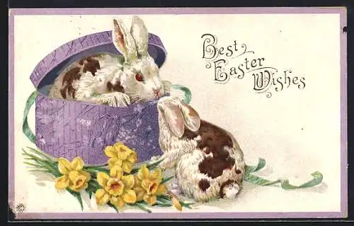 AK Osterhase sitzt in einer Schachtel, Best Easter Wishes