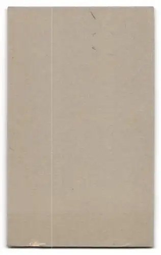 Fotografie C. Carthanus, Dieuze, Soldat in Uniform Rgt. 138