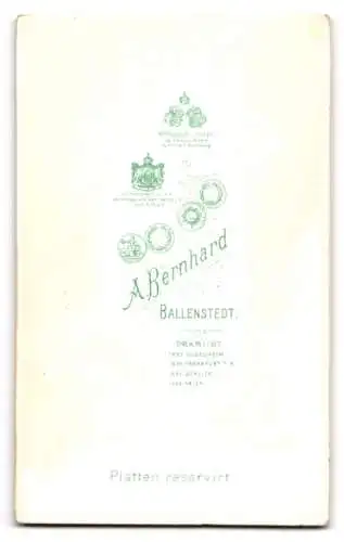 Fotografie A. Bernhard, Ballenstedt, Porträt eines Herrn mit Schnurrbart