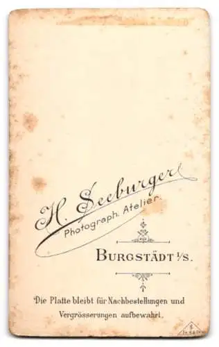 Fotografie H. Seeburger, Burgstädt i. S., Porträt eines jungen Mannes