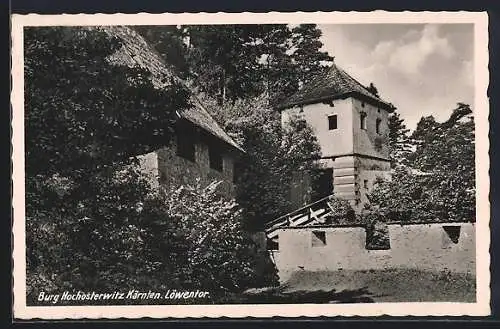 AK Hochosterwitz /Kärnten, Burg Hochosterwitz, Löwntor