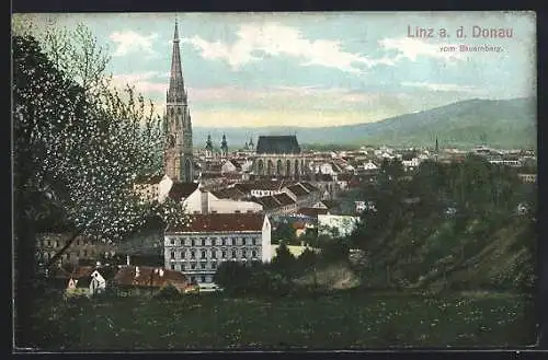 AK Linz a. d. Donau, Ansicht vom Bauernberg