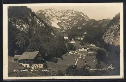 AK Hallstatt, Blick auf den Ort im Tal