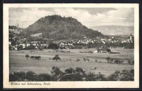 AK Wildon /Stmk., Ansicht mit dem Schlossberg