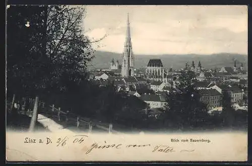 AK Linz a. D., Blick vom Bauernberg