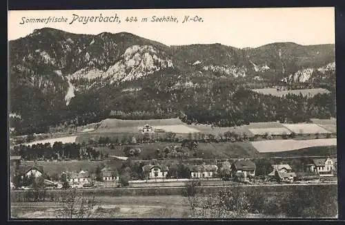 AK Payerbach /N.-Oe., Teilansicht mit Bergen