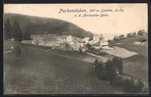 AK Puchenstuben a. d. Mariazeller-Bahn, Teilansicht