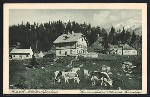 AK Schottwien, Friedrich Schüler-Alpenhaus, Berghütte am Sonnwendstein mit Schneeberg