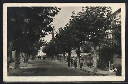 AK Le Perthus, Avenida bordée d`arbres et passants