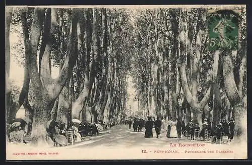 AK Perpignan, Promenade des Platanes animée par des promeneurs et chaises sous les arbres