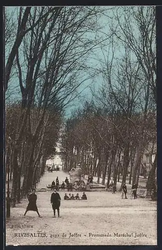 AK Rivesaltes, Promenade Maréchal Joffre avec promeneurs et arbres en hiver