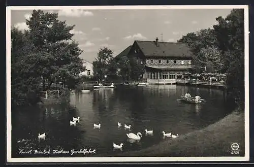 AK Kurort Jonsdorf, Gasthaus Kurhaus Gondelfahrt, Ruderboote, Schwan, Enten