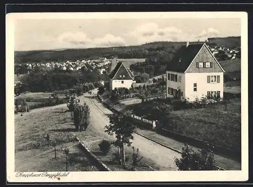 AK Berggiesshübel, Gersdorfer Strasse, Blick nach der Siedlung