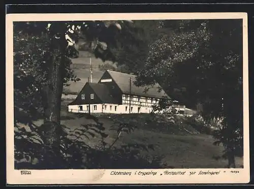 AK Lichtenberg i. Erzgebirge, Forstgasthof zur Schwingerei, Ansicht vom Wald aus